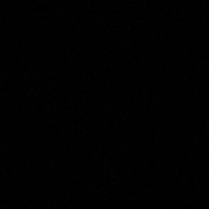 Meet your Posher, Ancelma